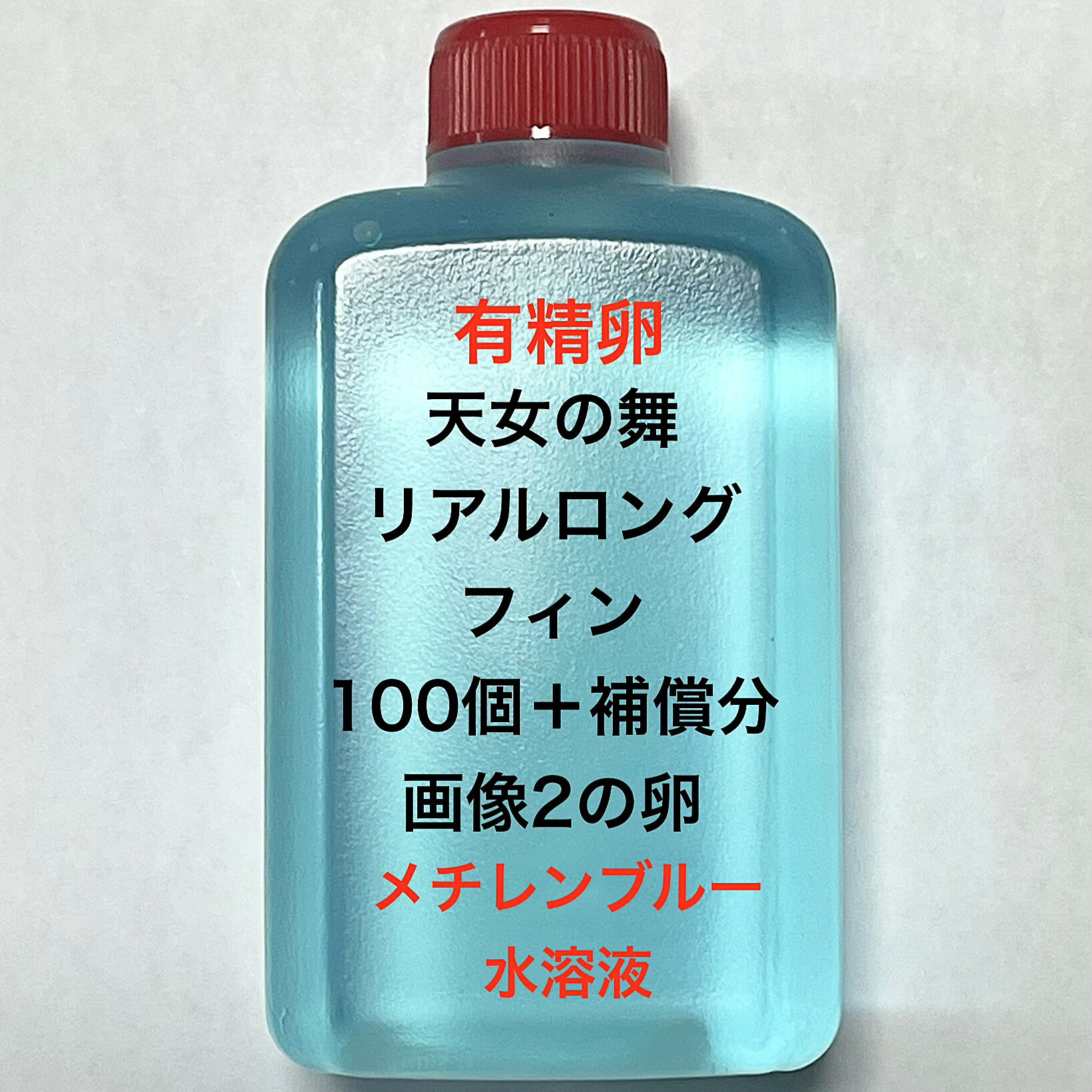 樂天商城 - T●※メダカの卵・有精卵初出荷※●リアルロングフィン★画像2のメダカの卵【天女リアルロングフィン：100個＋補償分】●※ご注文確定後3日前後での発送になります※●