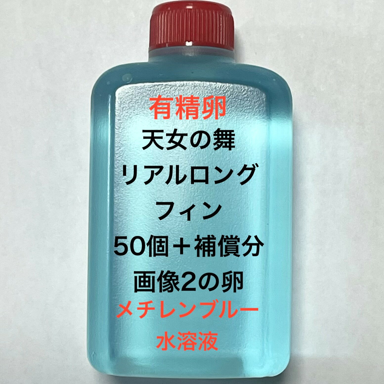 樂天商城 - T●※メダカの卵・有精卵初出荷※●リアルロングフィン★画像2のメダカの卵【天女リアルロングフィン：50個＋補償分】●※ご注文確定後3日前後での発送になります※●