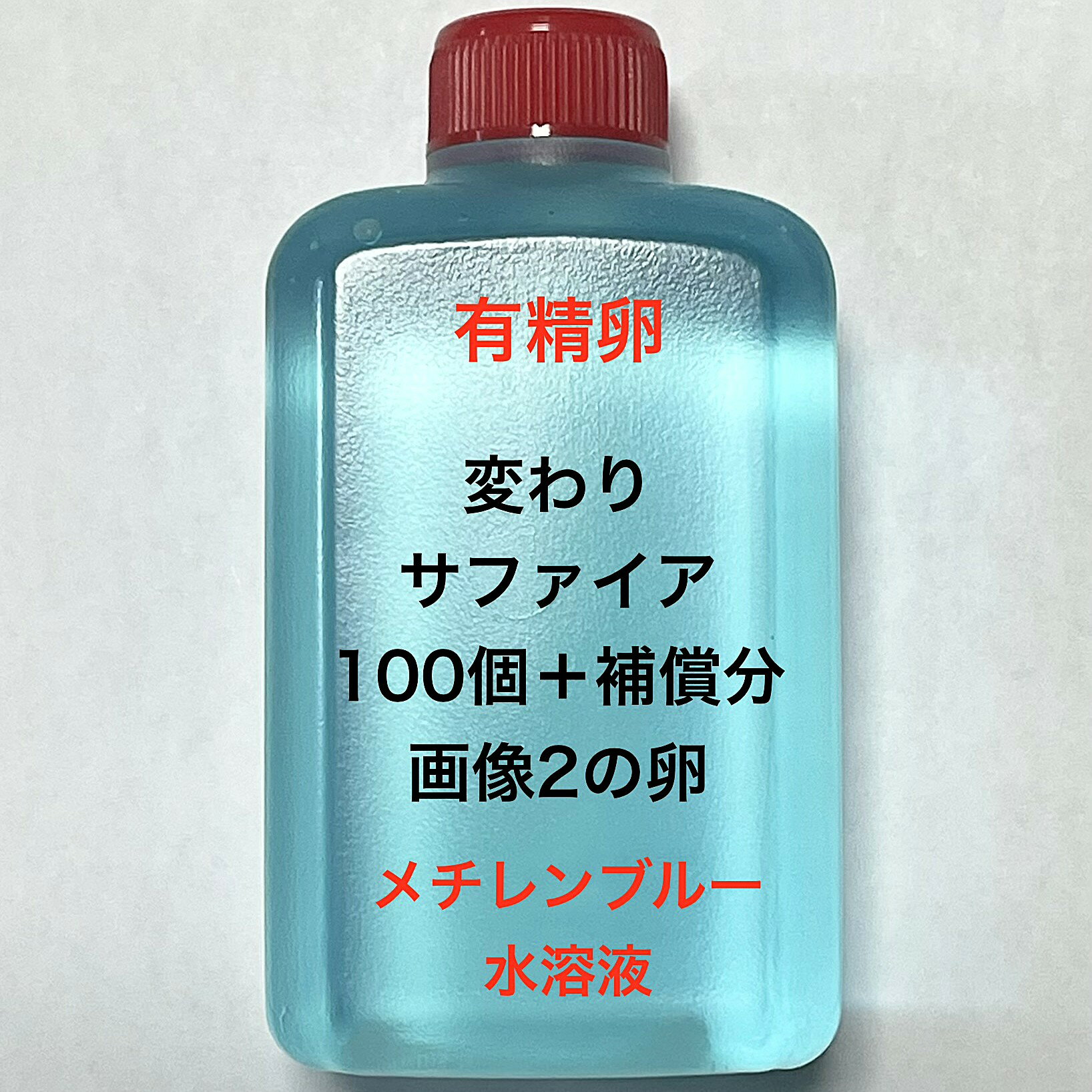 Rakuten - H●※メダカの卵・有精卵初出荷※●サファイア★画像2のメダカの卵【変わりサファイア：100個＋補償分】●※ご注文確定後3日前後での発送になります※●