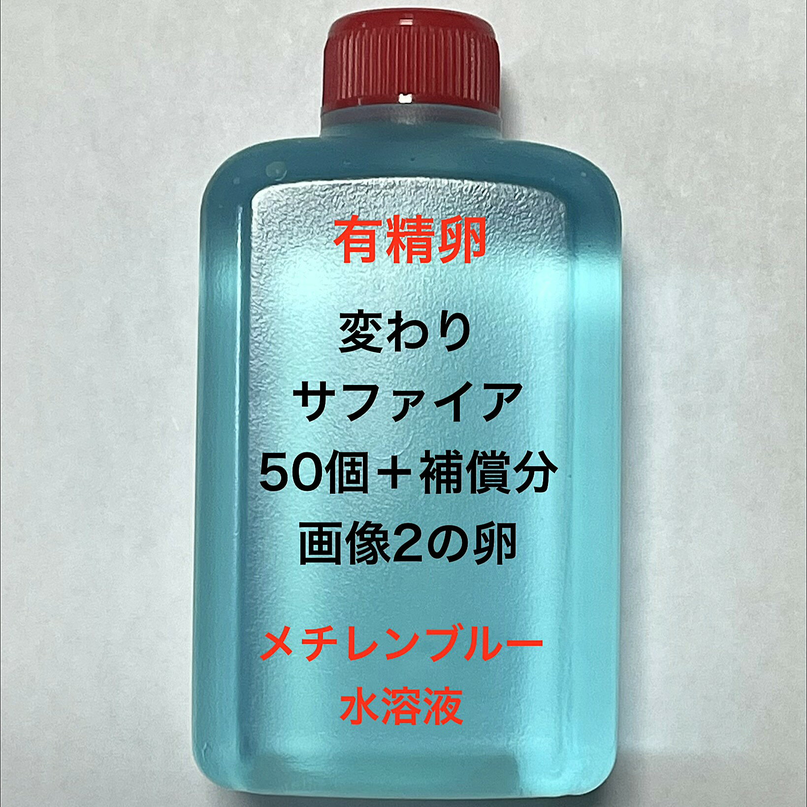 H●※メダカの卵 有精卵初出荷※●サファイア★画像2のメダカの卵【変わりサファイア：50個＋補償分】●※ご注文確定後3日前後での発送になります※●
