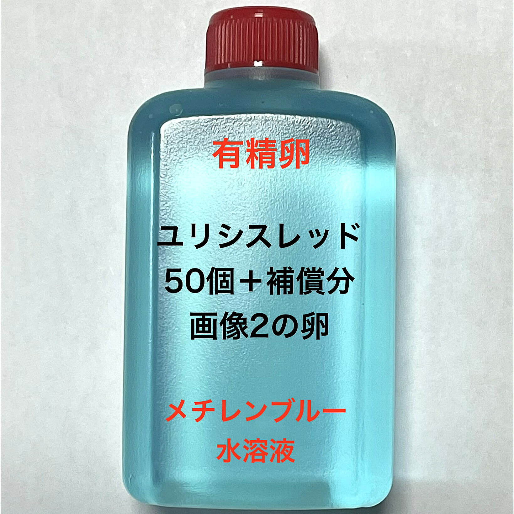 B●※メダカの卵・有精卵初出荷※●ユリシス★画像2のメダカの卵【ユリシスレッド：50個＋補償分】：在庫がなくなり次第終了致します。※●自店舗で生産している画像2のユリシスレッドの有精卵を発送致します。卵ですので補償はありませんが多少多く入れて発送いたします。水カビを防ぐためにメチレンブルー水溶液に入っております。到着いたしましたら入れ物から出していただきこのままのメチレンブルー水溶液で孵化させてください。約10日前後で孵化致します。孵化する過程で白く濁ってきた卵は即座に取り除いてください。孵化しましたらカルキを抜いた飼育水で育ててください。【メチレンブルー水溶液にいれて発送になります】●※卵の補償はありませんのでご了承の上ご注文宜しくお願い致します。 当店ではオリジナル針仔用にて育てております、当店自慢のオリジナル飼育用餌になります。（別途針仔用、稚魚用餌、成魚用餌もご用意しております是非ご利用ください）●●※12:00までの注文で翌日お届け※●●【商品説明】ユリシスレッドのメダカの卵は、50個の有精卵に加え、補償分も含まれており、安心してご購入いただけます。これらの卵は、メチレンブルー水溶液で保護されており、孵化率を高めるための最適な環境が整っています。初めての方でも簡単に育てられるように設計されており、メダカの美しい成長を楽しむことができます。※電話でのご注文・ご予約・ご相談も受けております(080-6708-6627）