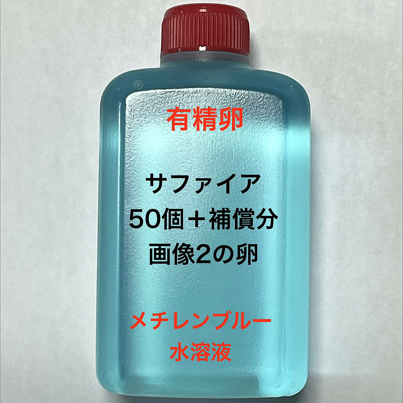 Z●※メダカの卵 有精卵初出荷※●サファイア★画像2のメダカの卵【サファイア：50個＋補償分】●※ご注文確定後3日前後での発送になります※●