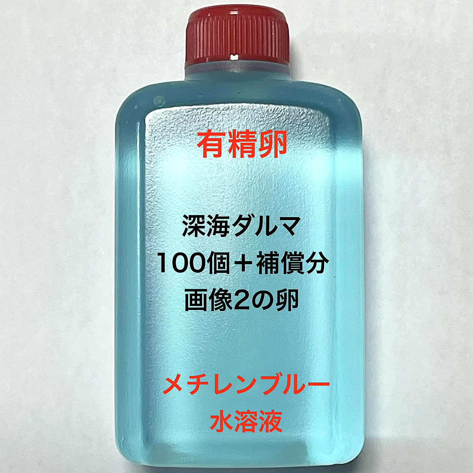 Z※メダカの卵・有精卵初出荷※●体内光系★ブルー系★画像2のメダカの卵【深海ダルマ有精卵：100個＋補償分】：在庫がなくなり次第終了致します。※●自店舗で生産している画像2の深海ダルマの有精卵を発送致します。卵ですので補償はありませんが多少多く入れて発送いたします。水カビを防ぐためにメチレンブルー水溶液に入っております。到着いたしましたら入れ物から出していただきこのままのメチレンブルー水溶液で孵化させてください。約10日前後で孵化致します。孵化する過程で白く濁ってきた卵は即座に取り除いてください。孵化しましたらカルキを抜いた飼育水で育ててください。【メチレンブルー水溶液にいれて発送になります】●※卵の補償はありませんのでご了承の上ご注文宜しくお願い致します。 当店ではオリジナル針仔用にて育てております、当店自慢のオリジナル飼育用餌になります。（別途針仔用、稚魚用餌、成魚用餌もご用意しております是非ご利用ください）●●※12:00までの注文で翌日お届け※●●【商品説明】※電話でのご注文・ご予約・ご相談も受けております(080-6708-6627）