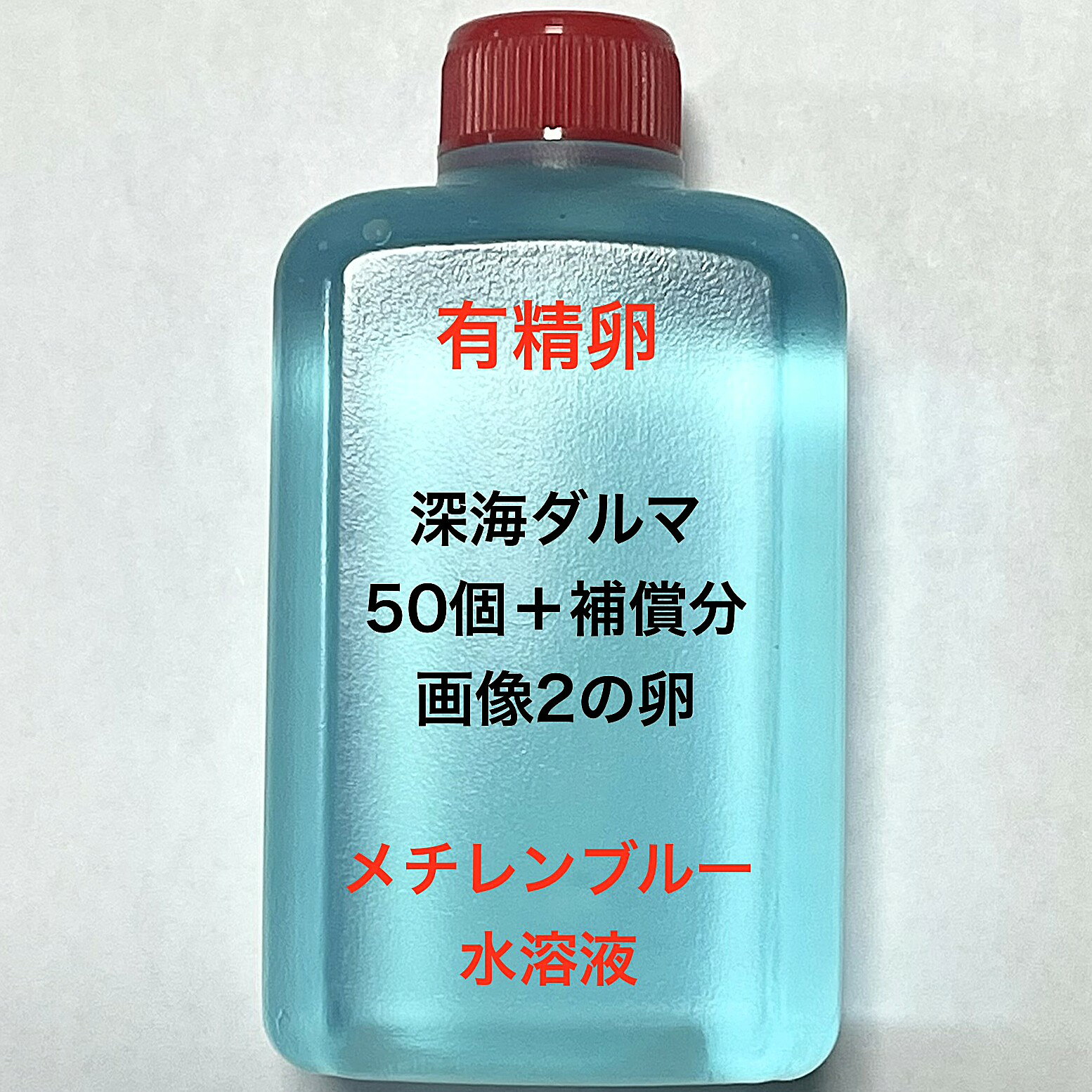 Z※メダカの卵・有精卵初出荷※●体内光系★ブルー系★画像2のメダカの卵【深海ダルマ有精卵：50個＋補償分】：在庫がなくなり次第終了致します。※●自店舗で生産している画像2の深海ダルマの有精卵を発送致します。卵ですので補償はありませんが多少多く入れて発送いたします。水カビを防ぐためにメチレンブルー水溶液に入っております。到着いたしましたら入れ物から出していただきこのままのメチレンブルー水溶液で孵化させてください。約10日前後で孵化致します。孵化する過程で白く濁ってきた卵は即座に取り除いてください。孵化しましたらカルキを抜いた飼育水で育ててください。【メチレンブルー水溶液にいれて発送になります】●※卵の補償はありませんのでご了承の上ご注文宜しくお願い致します。 当店ではオリジナル針仔用にて育てております、当店自慢のオリジナル飼育用餌になります。（別途針仔用、稚魚用餌、成魚用餌もご用意しております是非ご利用ください）●●※12:00までの注文で翌日お届け※●●【商品説明】※電話でのご注文・ご予約・ご相談も受けております(080-6708-6627）