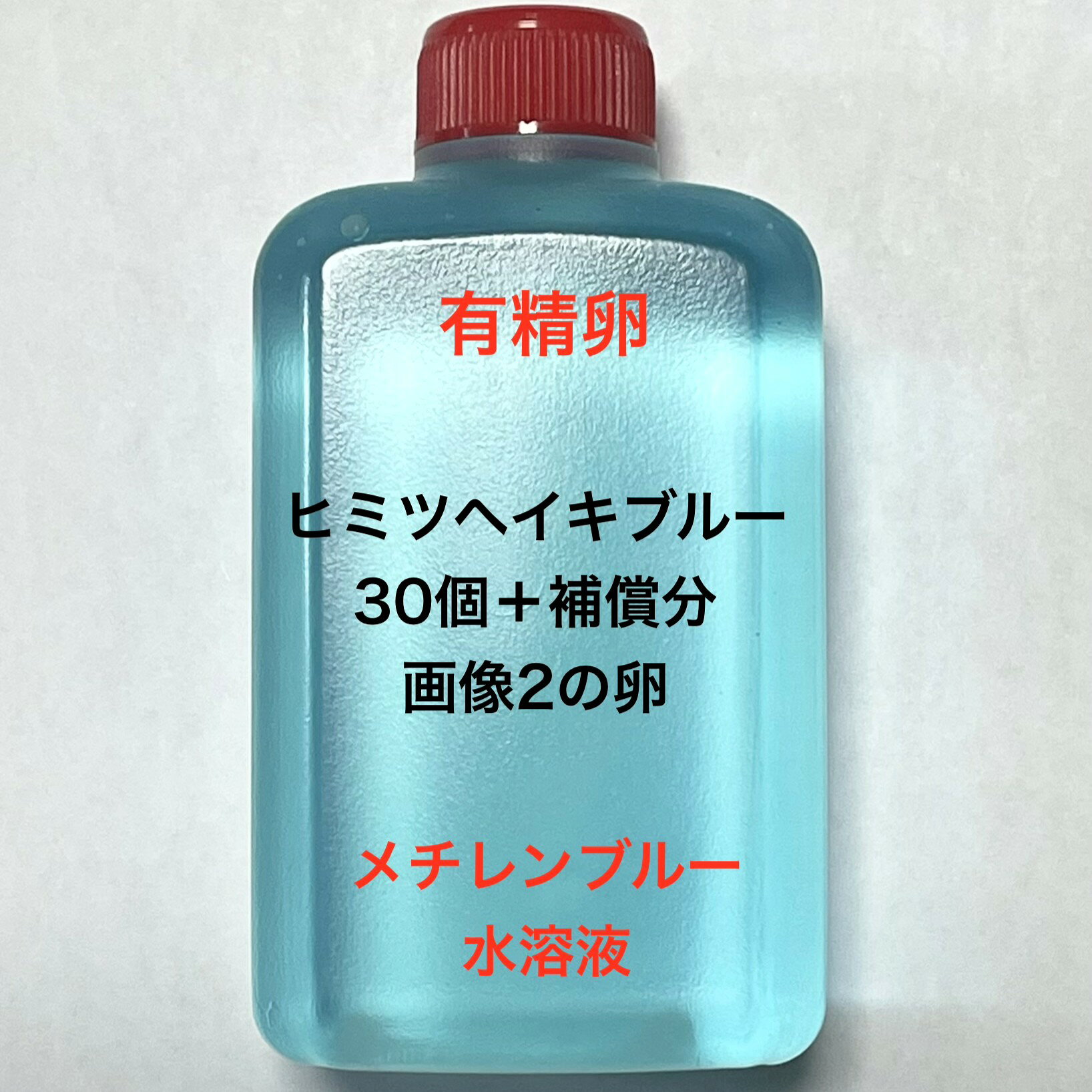 S●※メダカの卵・有精卵初出荷※●ヒミツヘイキブルー★画像2のメダカの卵【ヒミツヘイキブルー有精卵：30個＋補償分】：在庫がなくなり次第終了致します。※●自店舗で生産している画像2のヒミツヘイキブルーの有精卵を発送致します。卵ですので補償はありませんが多少多く入れて発送いたします。水カビを防ぐためにメチレンブルー水溶液に入っております。到着いたしましたら入れ物から出していただきこのままのメチレンブルー水溶液で孵化させてください。約10日前後で孵化致します。孵化する過程で白く濁ってきた卵は即座に取り除いてください。孵化しましたらカルキを抜いた飼育水で育ててください。【メチレンブルー水溶液にいれて発送になります】●※卵の補償はありませんのでご了承の上ご注文宜しくお願い致します。 当店ではオリジナル針仔用にて育てております、当店自慢のオリジナル飼育用餌になります。（別途針仔用、稚魚用餌、成魚用餌もご用意しております是非ご利用ください）●●※12:00までの注文で翌日お届け※●●【商品説明】ヒミツヘイキブルーのメダカの卵は、30個の有精卵に補償分を加えたセットです。この卵は、メダカの育成を楽しむ方に最適で、初心者から経験者まで幅広くご利用いただけます。メチレンブルー水溶液に入れており、卵の保護に役立ちます。高品質な卵を育てることで、美しいメダカの成長を観察する楽しみを提供します。※電話でのご注文・ご予約・ご相談も受けております(080-6708-6627）