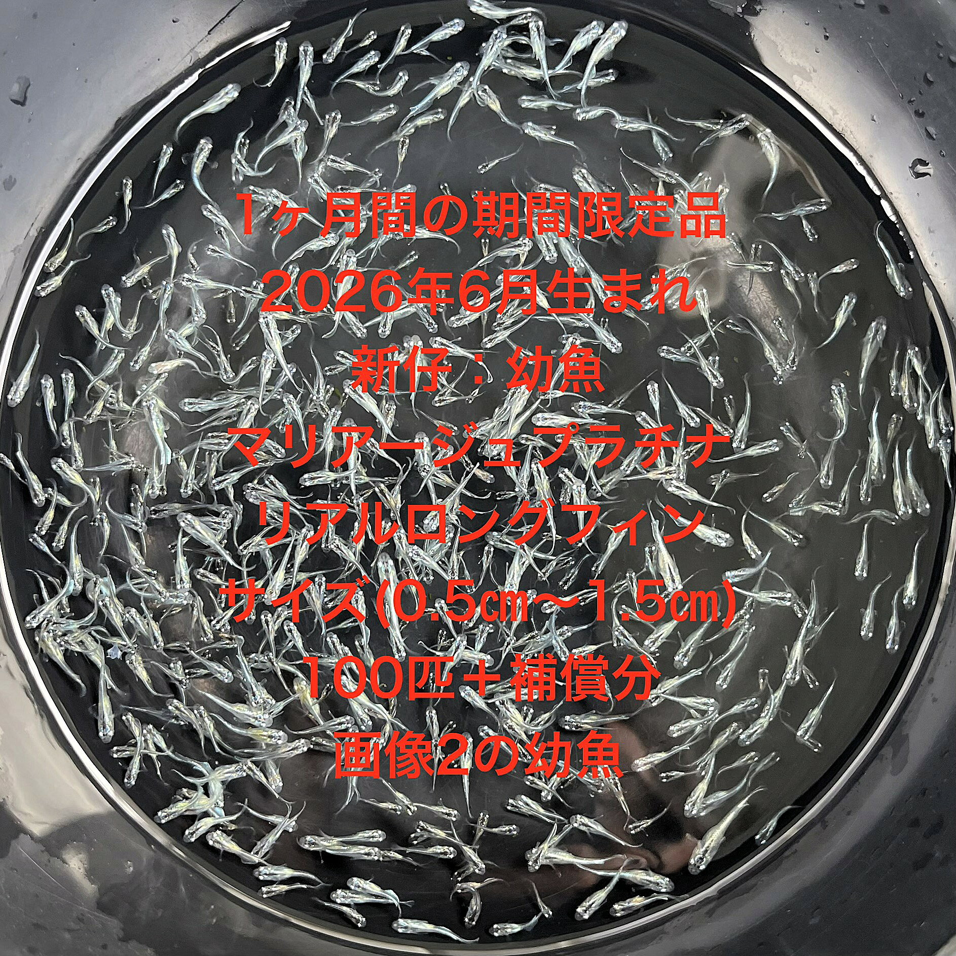 商品画像3