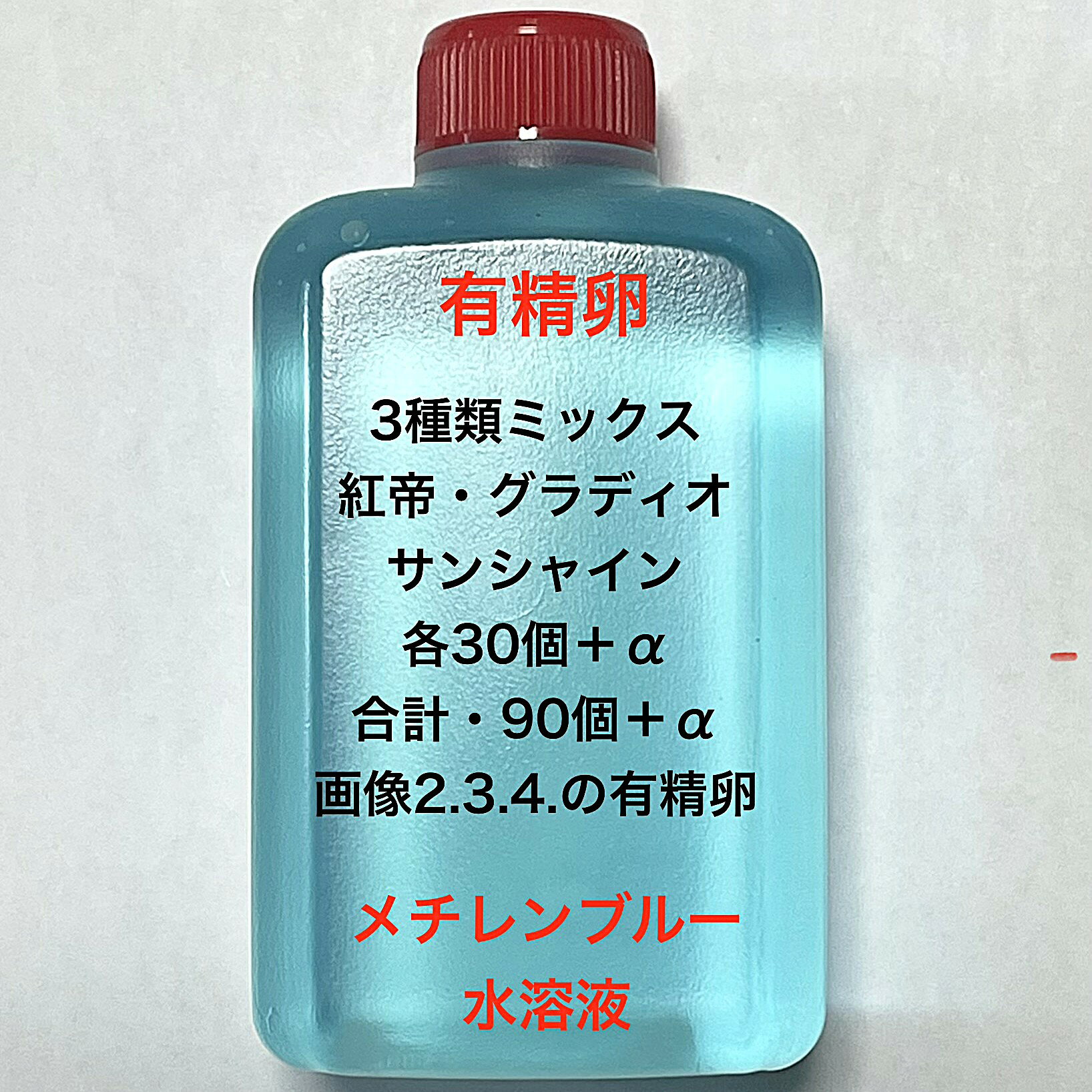 A1※メダカの卵・3種類有精卵・初出荷※★画像2.3.4のメダカの卵【紅帝：グラディオ：サンシャインの有精卵：各30個＋α：合計90個＋α】●※ご注文確定後3日前後での発送になります※●