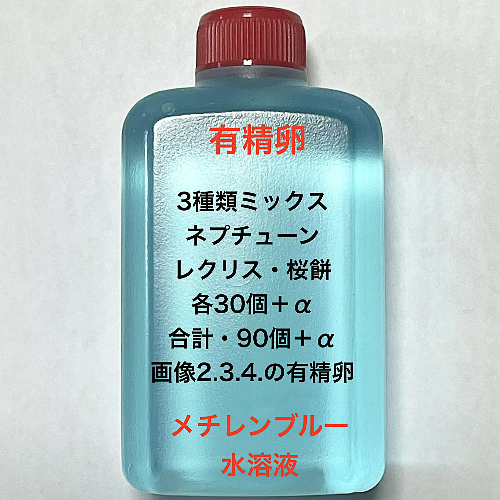 C1※メダカの卵・3種類有精卵・初出荷※★画像2.3.4のメダカの卵【ネプチューン：レクリス：桜餅の有精卵：各30個＋α：合計90個＋α】●※ご注文確定後3日前後での発送になります※●