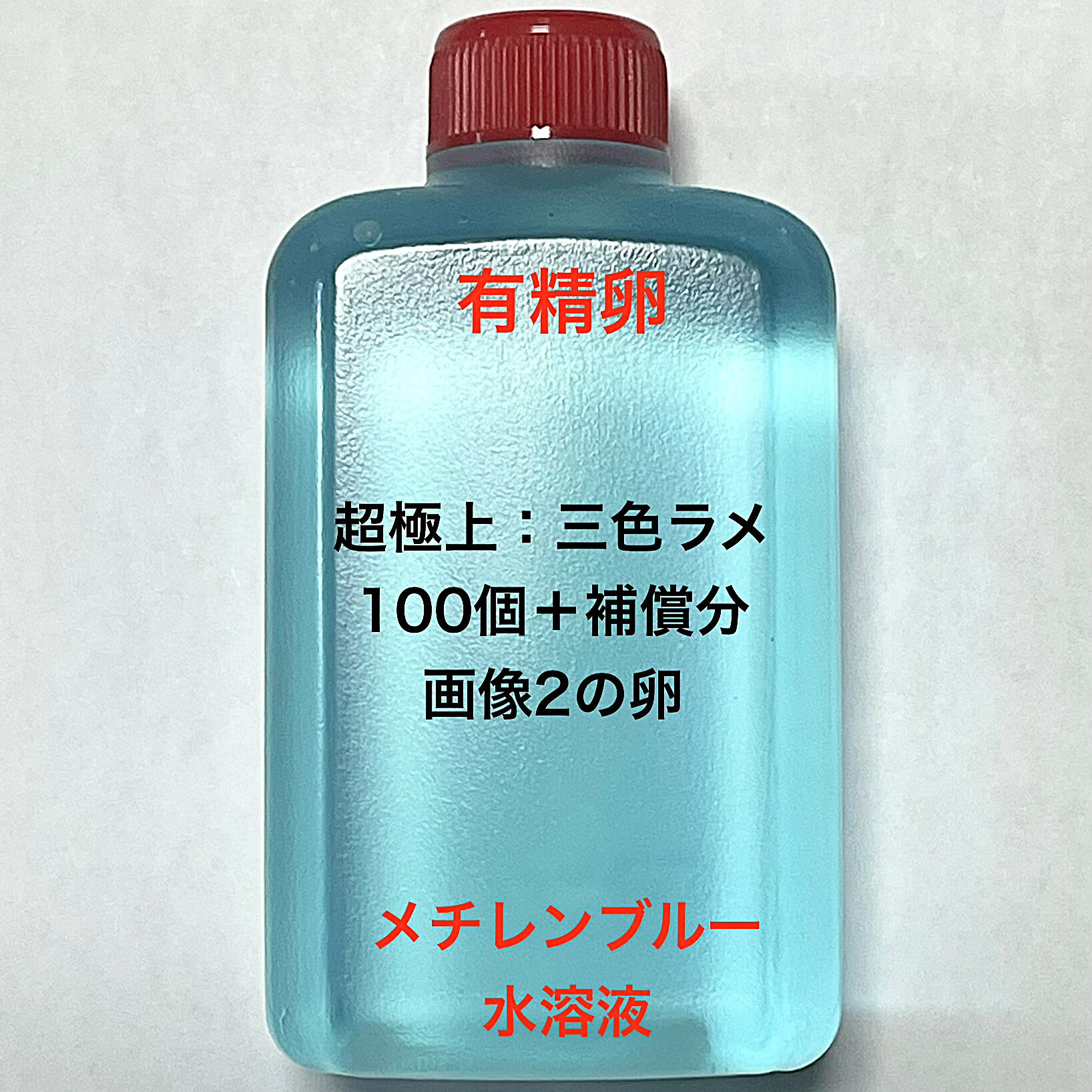 P※メダカの卵・有精卵初出荷※●超極上●三色ラメ★画像2のメダカの卵【三色ラメ有精卵：100個＋補償分】●※ご注文確定後3日前後での発送になります※●