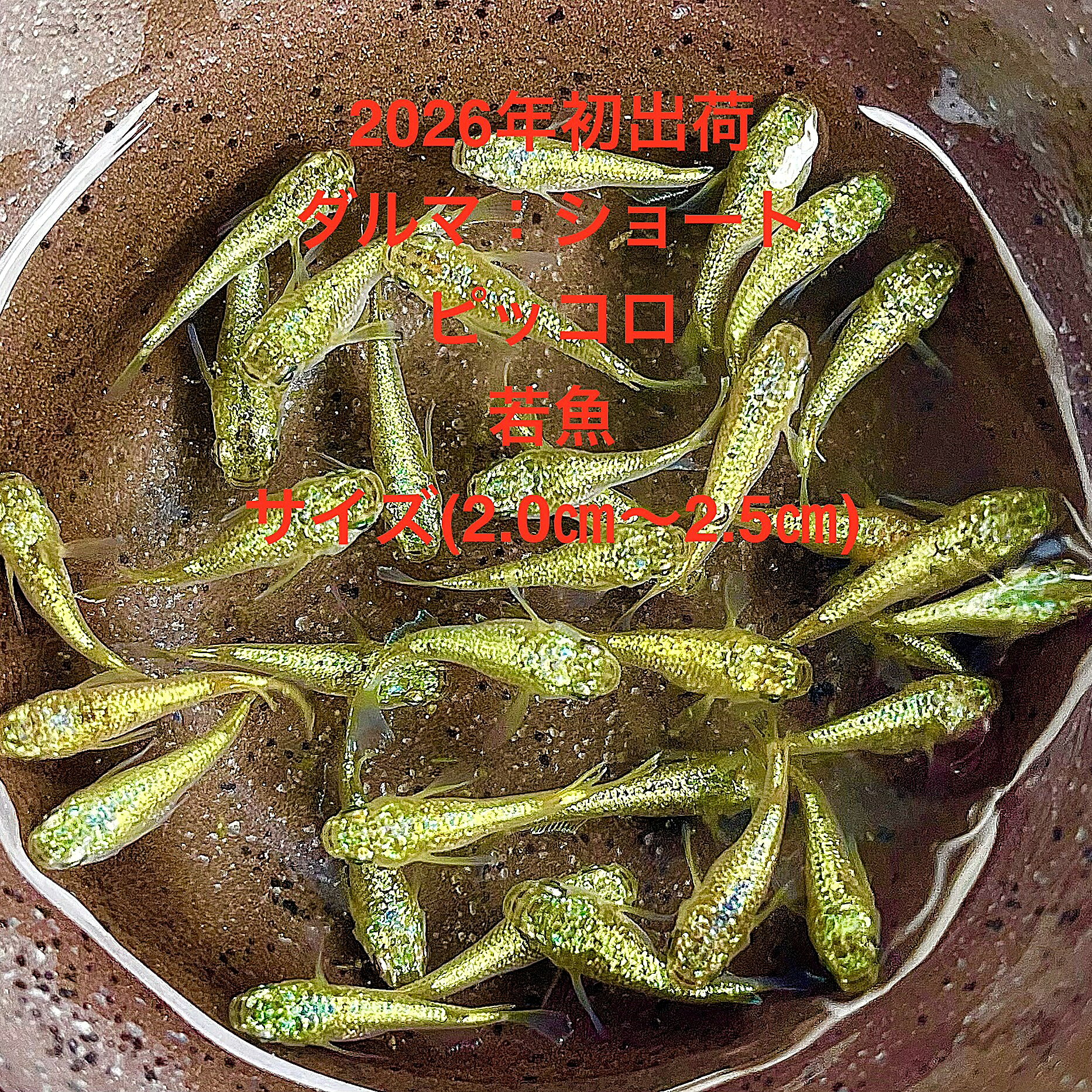 商品画像3