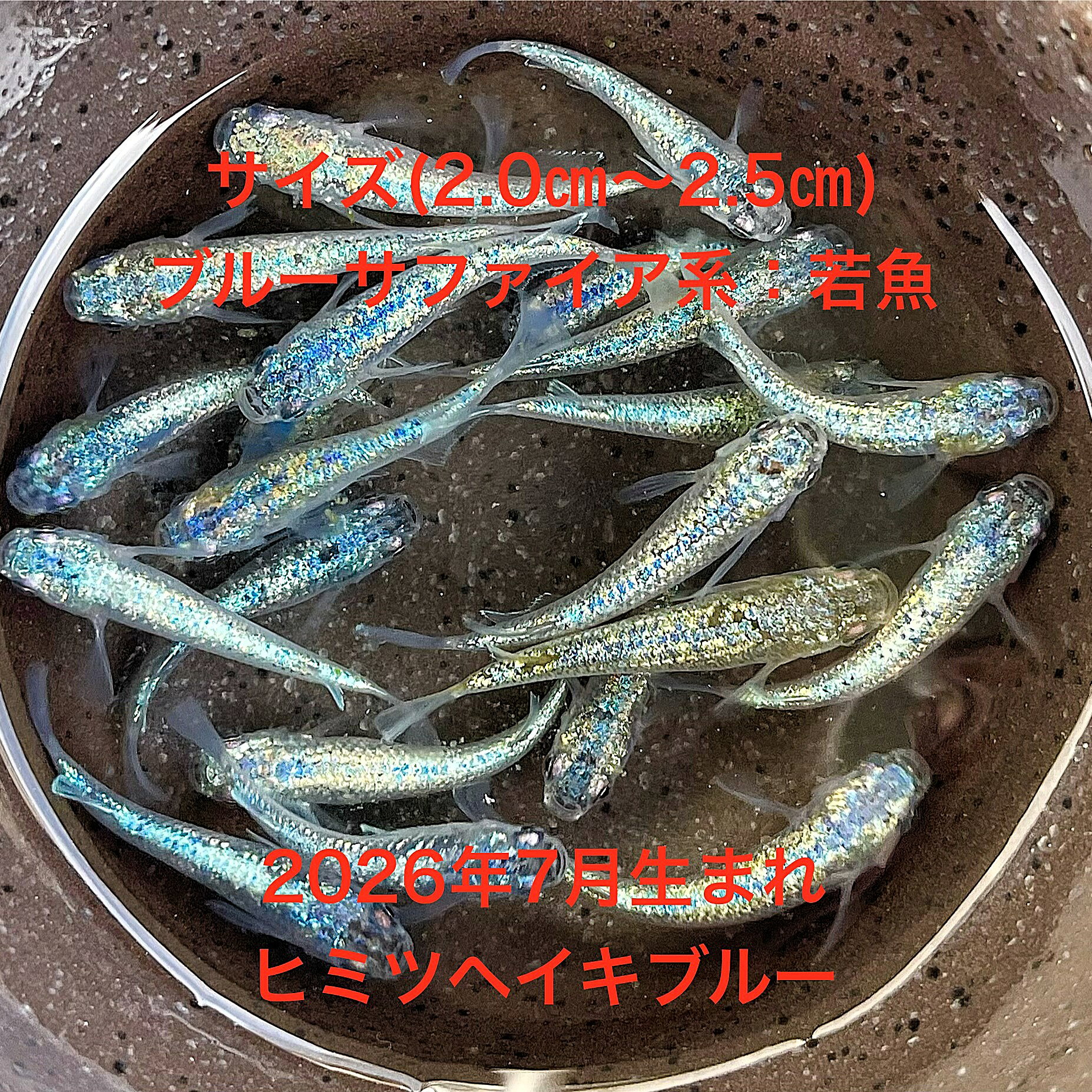 商品画像3