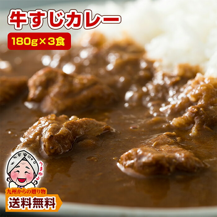 ＼2商品購入で使える5％OFFクーポン対象／ じっくり煮込んだ濃厚コク旨牛すじカレー180g×3袋 本格 オススメ ご当地カレー 送...