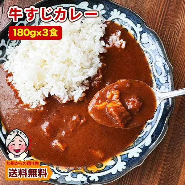 ＼九州からの贈り物／ じっくり煮込んだ濃厚コク旨牛すじカレー180g×3袋 本格