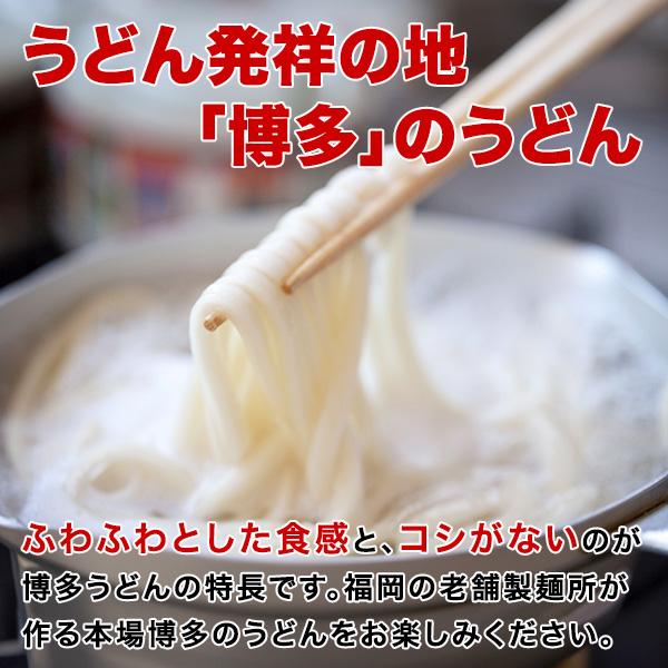 1000円ポッキリ 送料無料 うどん 博多うどん 訳あり ポイント利用 お試し商品 サンプル　＼買い回りで最大P10倍＆お得なクーポン／送料無料 博多 あご出汁 博多んもん柔らか生うどん 5人前 乾燥ねぎ付き 半生麺 博多うどん うどん ポイント利用 わけあり お試 1000円 商品券 爆買 ポイント消化