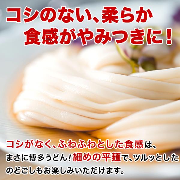 1000円ポッキリ 送料無料 うどん 博多うどん 訳あり ポイント利用 お試し商品 サンプル　＼買い回りで最大P10倍＆お得なクーポン／送料無料 博多 あご出汁 博多んもん柔らか生うどん 5人前 乾燥ねぎ付き 半生麺 博多うどん うどん ポイント利用 わけあり お試 1000円 商品券 爆買 ポイント消化