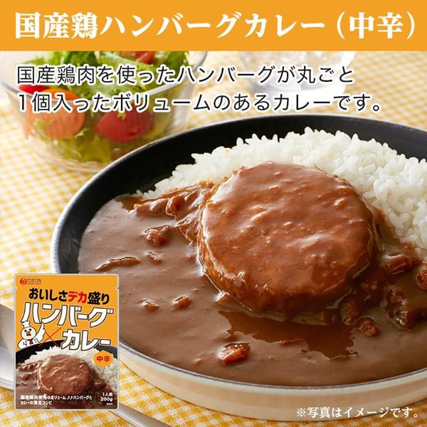 ＼2個以上購入で使える5％OFFクーポン／ ご飯のお供 訳あり 国産鶏ハンバーグカレー 4袋 中辛 レトルトカレー 長期保存 食品 送料無料 得トクセール お取り寄せ ポイント利用 爆買 ポイント消化 qgift-10000105 九州からの贈り物 楽天市場店 サンプル画像2