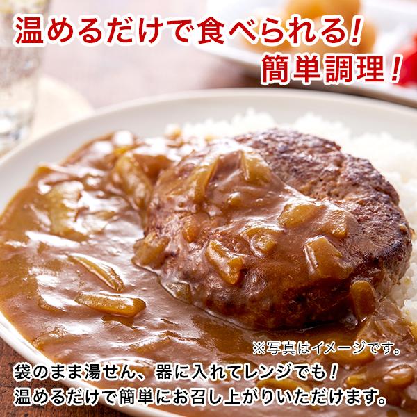 ＼2個以上購入で使える5％OFFクーポン／ ご飯のお供 訳あり 国産鶏ハンバーグカレー 4袋 中辛 レトルトカレー 長期保存 食品 送料無料 得トクセール お取り寄せ ポイント利用 爆買 ポイント消化 qgift-10000105 九州からの贈り物 楽天市場店 サンプル画像3