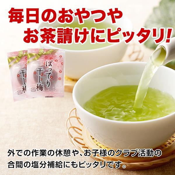＼九州からの贈り物／ 訳あり まろやか 干し梅 約35g 小袋 おつまみ 種なし 個包装 小分け ポイント消化 300円 お酒 食品 おやつ 梅干し ポイント利用 お試し商品 サンプル 爆買