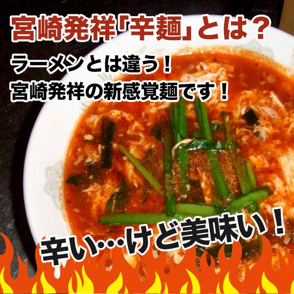 激辛 麺 ケンミンショー ポイント利用 お試し商品 サンプル 贅沢 備蓄 非常食 訳あり食品 レトルト　＼2個以上購入で使える5％OFFクーポン／ 訳あり 宮崎新名物「辛麺屋 輪」辛麺4人前 リピーター様 簡易パッケージ コク旨ピリ辛スープ 辛めん 送料無料 麺 お取り寄せ ポイント利用 爆買 ポイント消化