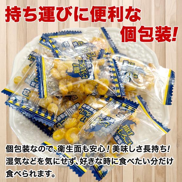 ＼九州からの贈り物/ 訳あり おつまみ 雪塩 ...の紹介画像3