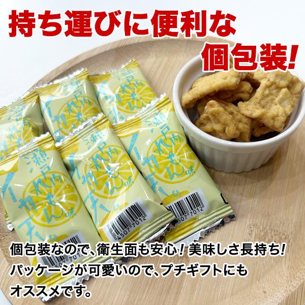 ＼九州からの贈り物/ 小袋おつまみ イカ天瀬戸...の紹介画像2