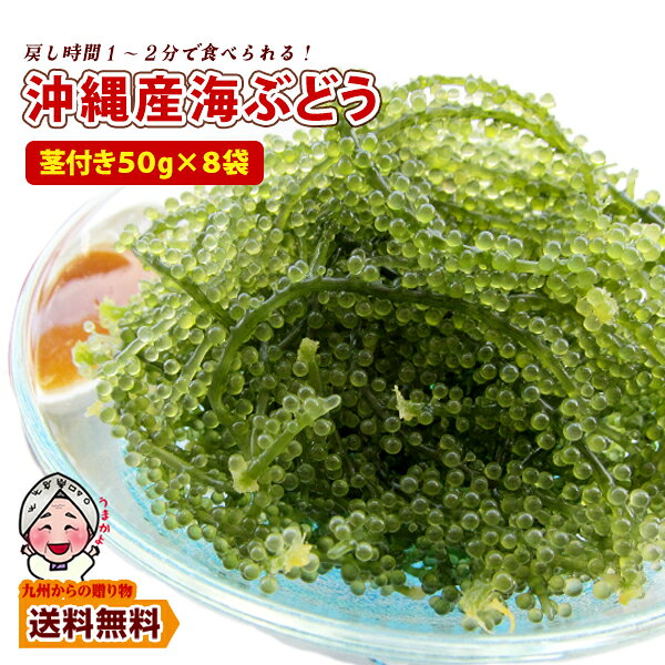※メール便でのお届けとなります。 ・食べ方 付属のタレ・ポン酢・三杯酢・ドレッシングなど お好みでお召し上がりください。 【内容量】 海ぶどう50g×8 【原材料】 海ぶどう：海ぶどう（沖縄県産）、食塩（国内製造） タレ：たん白加水分解物(大豆を含む、国内製造)、糖類(果糖ぶどう糖液糖、砂糖)、醸造酢、しょうゆ(小麦を含む)、りんご果汁、梅肉、レモン果汁、食塩、オニオンエキス、青じそ／調味料(アミノ酸等)、香料、増粘剤(キサンタンガム)、酸味料、香辛料抽出物 【アレルギー情報】 大豆、小麦 【賞味期限】 配送後1ヶ月以上 ★この商品はメール便（ポスト投函）でお届けします★ ・複数ご購入の場合、複数のメール便でお届け（別梱包で発送） ・日時指定はできません。 ・商品の到着まで3〜9営業日頂いております ・ご利用明細は同梱いたしません