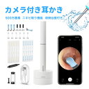 \P10倍/【収納台座付き】耳かきカメラ ライト付き耳かき カメラ付き耳かき 500W画素 3.0mm極細レンズ 耳掻き カメラ付き内視鏡付き耳かき イヤースコ...