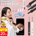 \20%OFF配布中/2025年進化版◆楽天1位◆日経新聞掲載◆耳かき カメラ付き ライト QiPower-QE-1 第二世代Plus 耳かき 公式店舗 カメラ付き LED イヤースコープ 無線 耳掃除 耳鏡ワイヤレス付き スマート耳かき 見える耳かき カメラ付き耳かき 耳かきピンセット 介護耳かき