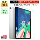 iPad 強化ガラスフィルム 保護フィルム 第5/6世代 第7/8/9世代 第10世代 pro9.7インチ pro10.5インチ pro12.9 9.7インチ 10.2インチ 10.9インチ 11インチ Air4 Air5 mini/4/5/6 指紋防止 ブルーライトカット