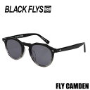 BLACKFLYS FLY CAMDEN サングラス ブラックフライ カムデン BF-1259-14 国内正規品 カリフォルニア サーフ グラサン サーフィン フィッシング スケート 西海岸 SURF SK8 ストリート(4)