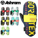 23/24 ASHRAM PROFILE LOGO MITT スノーボード ミトングローブ グローブ GORE-TEX ゴアテックス アシュラム プロファイル ロゴ ミット メンズ レディース スノー ミトン スキー 手袋 手ぶくろ てぶくろ スノボ 雪 スノーグローブ 国内正規品