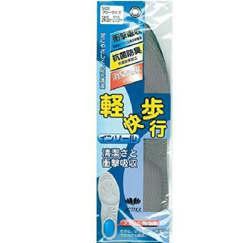 インソール 木原産業 軽快歩行 65 中敷インソール ・フリーサイズ(24.0cm～27.0cm)