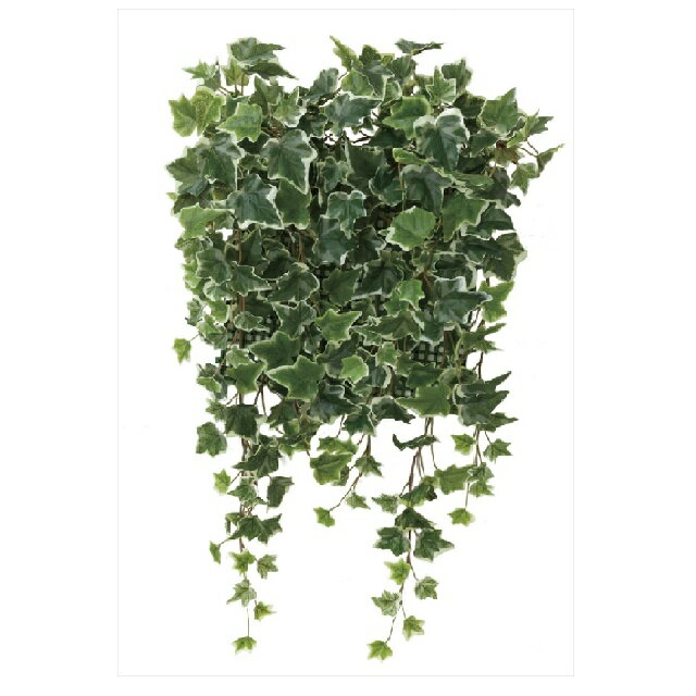 Leafy Plants - インテリア フェイクグリーン・人工観葉植物 -ウォールタイプ- 壁面緑化斑入アイビー 光触媒加工（V-CAT）
