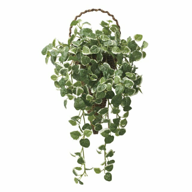 インテリア フェイクグリーン・人工観葉植物 -ウォールタイプ- 壁掛けプミラ 光触媒加工（V-CAT）