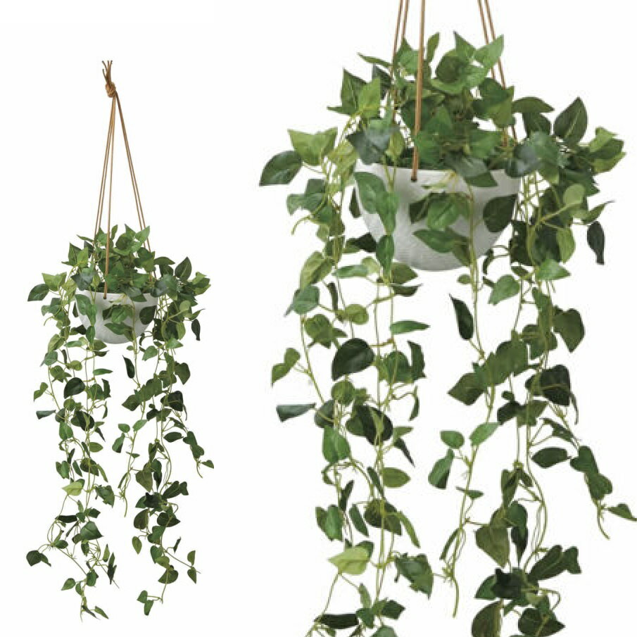 Leafy Plants - インテリア フェイクグリーン・人工観葉植物 -ハンギングタイプ- フィロハンギング 光触媒加工（V-CAT）