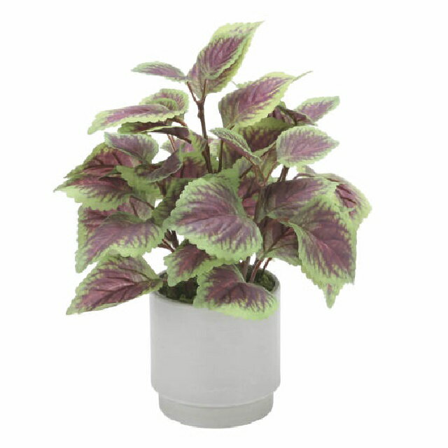 觀葉植物 - インテリア フェイクグリーン・人工観葉植物 -テーブルタイプ- コリウスS 30cm 光触媒加工（V-CAT）
