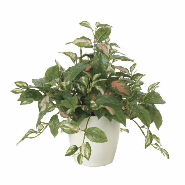 インテリア フェイクグリーン・人工観葉植物 -テーブルタイプ- ツートンホヤ 40cm 光触媒加工（V-CAT）