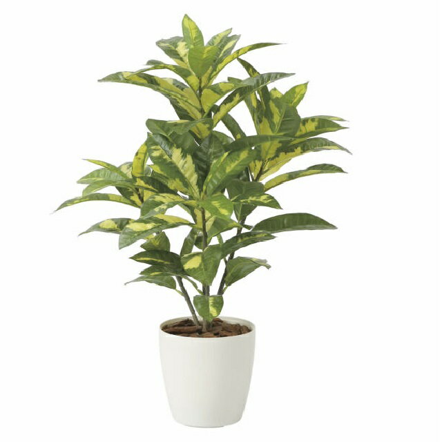 Rakuten - インテリア フェイクグリーン・人工観葉植物 -テーブルタイプ- クロトン 65cm 光触媒加工（V-CAT）