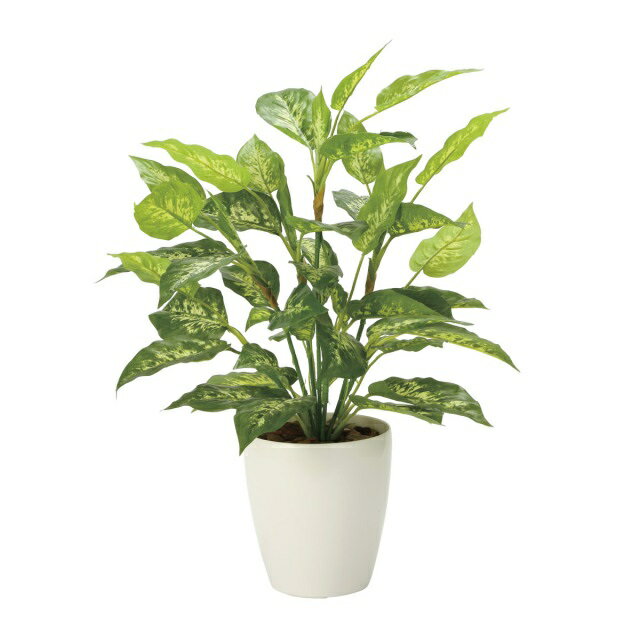 Other - インテリア フェイクグリーン・人工観葉植物 -テーブルタイプ- フレッシュディフェンバキアL 70cm 光触媒加工（V-CAT）