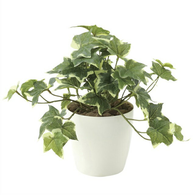 Rakuten - インテリア フェイクグリーン・人工観葉植物 -テーブルタイプ- フレッシュ斑入りアイビーS 25cm 光触媒加工（V-CAT）