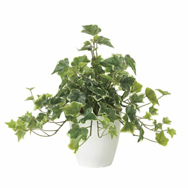 Rakuten - インテリア フェイクグリーン・人工観葉植物 -テーブルタイプ- フレッシュ斑入りアイビー 36cm 光触媒加工（V-CAT）