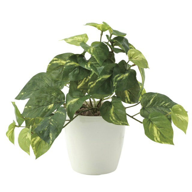 Rakuten - インテリア フェイクグリーン・人工観葉植物 -テーブルタイプ- フレッシュポトスS 25cm 光触媒加工（V-CAT）
