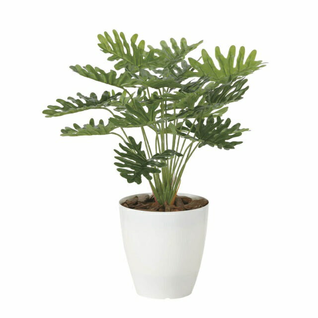 Rakuten - インテリア フェイクグリーン・人工観葉植物 -テーブルタイプ- フレッシュクッカバラ 45cm 光触媒加工（V-CAT）