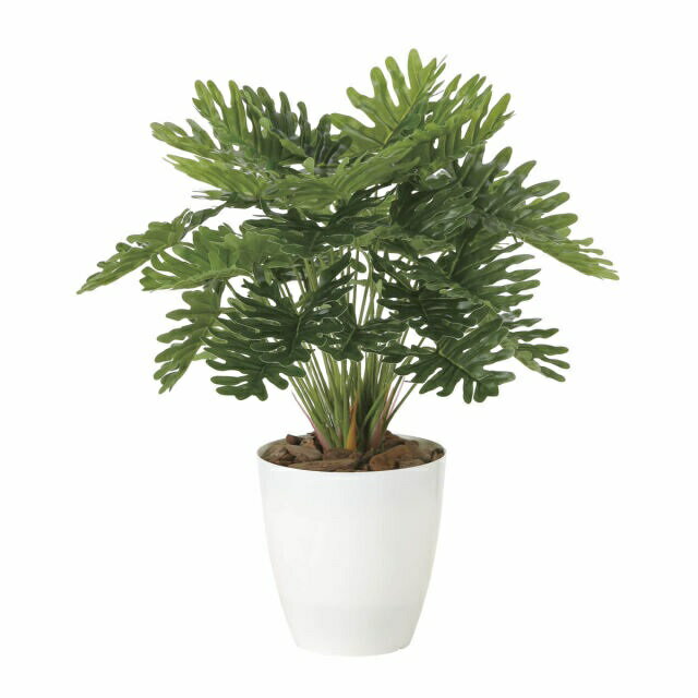 インテリア フェイクグリーン・人工観葉植物 -テーブルタイプ- フレッシュクッカバラM 45cm 光触媒加工（V-CAT）