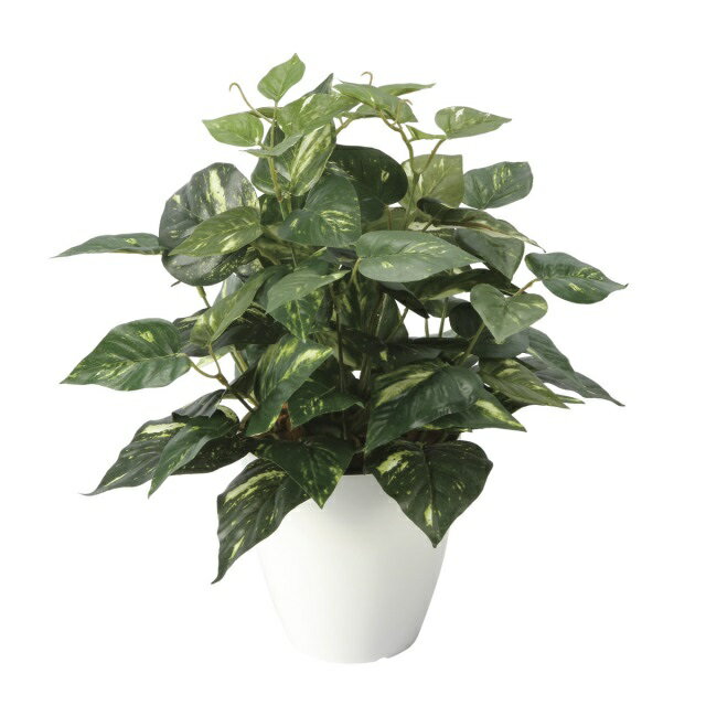 Rakuten - インテリア フェイクグリーン・人工観葉植物 -テーブルタイプ- ポトスM 36cm 光触媒加工（V-CAT）