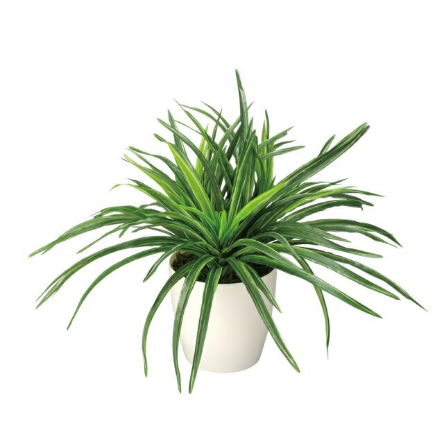 インテリア フェイクグリーン・人工観葉植物 -テーブルタイプ- ドラセナ 32cm 光触媒加工（V-CAT）