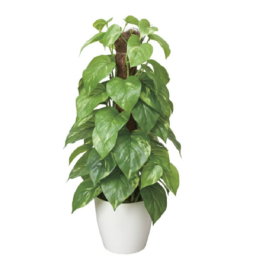 インテリア フェイクグリーン・人工観葉植物 フレッシュポールポトス 48cm 光触媒加工（V-CAT）