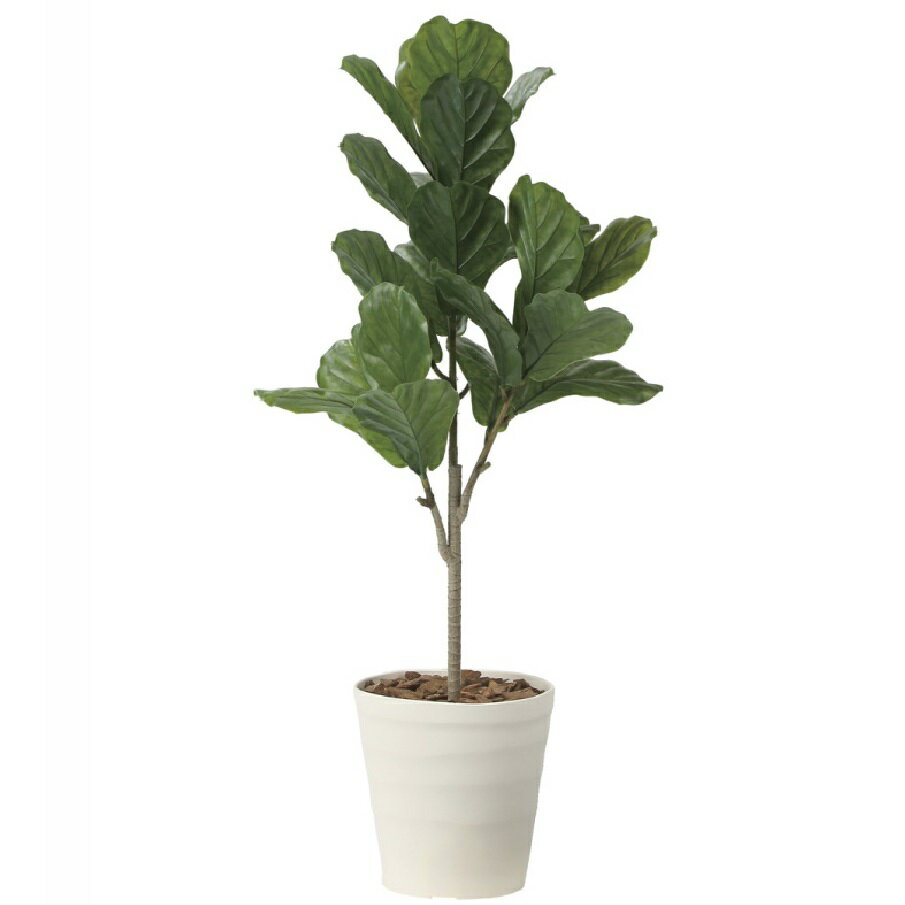 Rakuten - インテリア フェイクグリーン・人工観葉植物 カシワバゴム90cm（ポリ製） 光触媒加工（V-CAT）