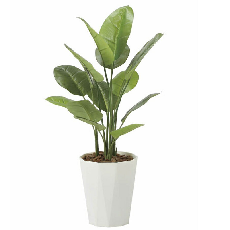 Rakuten - インテリア フェイクグリーン・人工観葉植物 スキンダプサス 1.0m 光触媒加工（V-CAT）