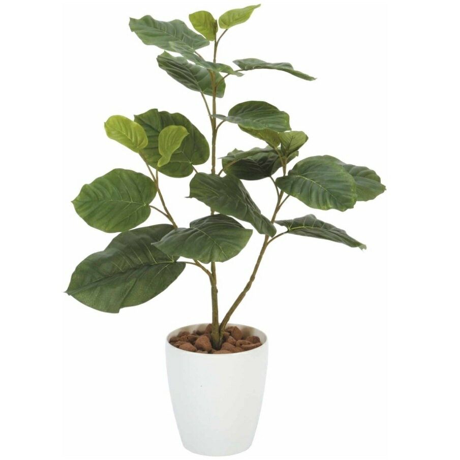 インテリア フェイクグリーン・人工観葉植物 ウンベラータ 80cm 光触媒加工（V-CAT）